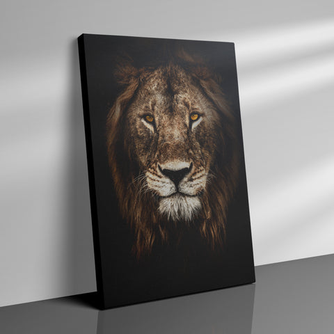 Lion - Canvas